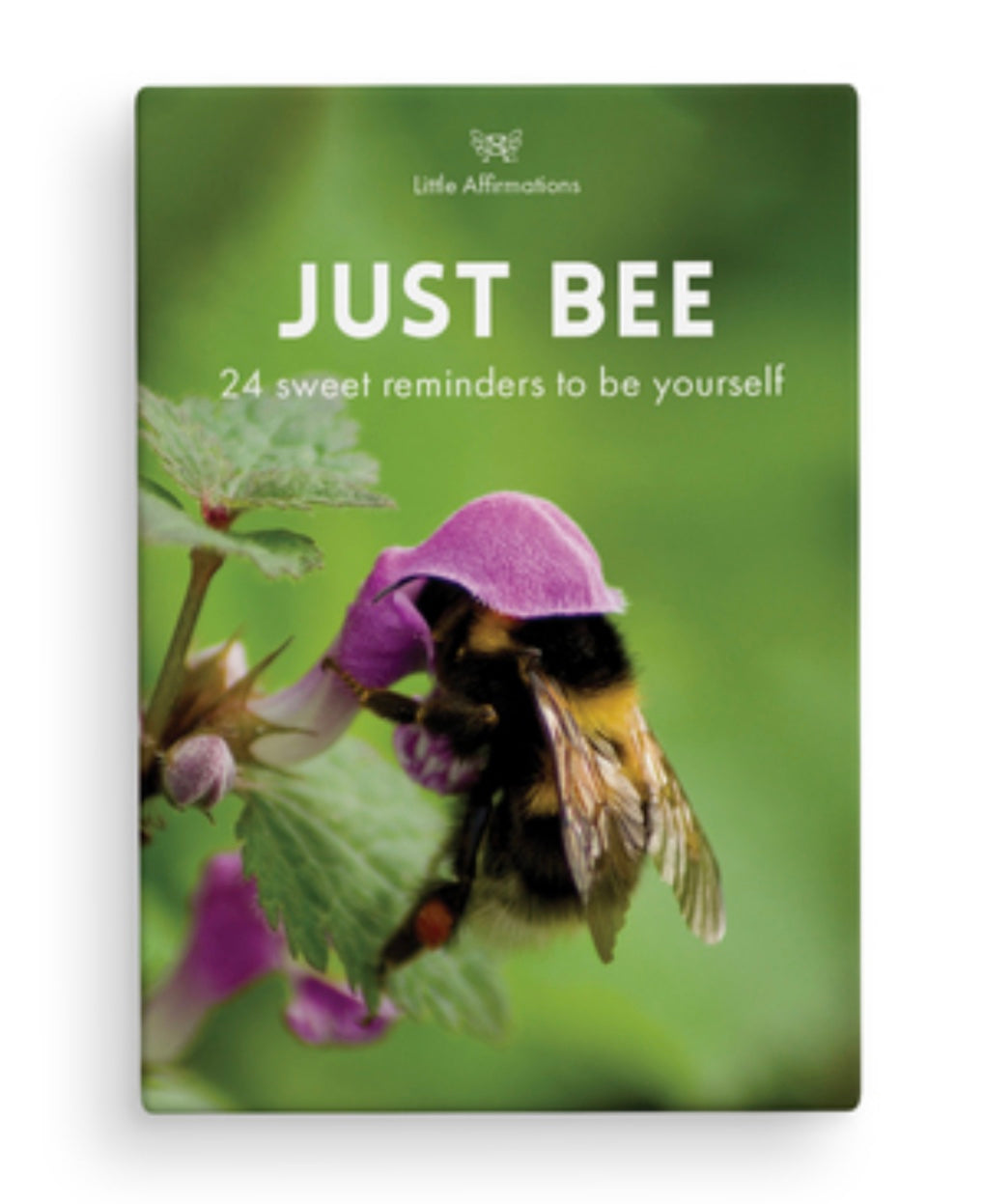 Little Affirmations; Just Bee