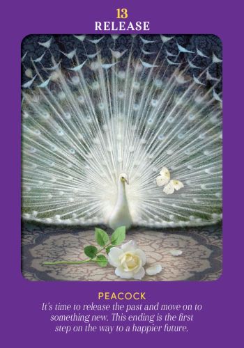 Animal Guides Tarot; Radleigh Valentine